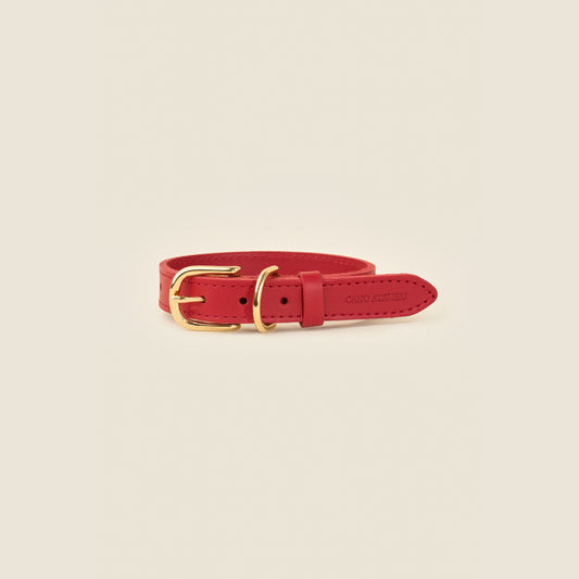 Stone red leather dog collar with gold hardware by Cano Ateliers