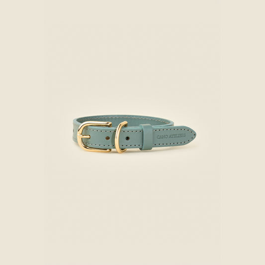 Stone blue leather dog collar with gold hardware by Cano Ateliers