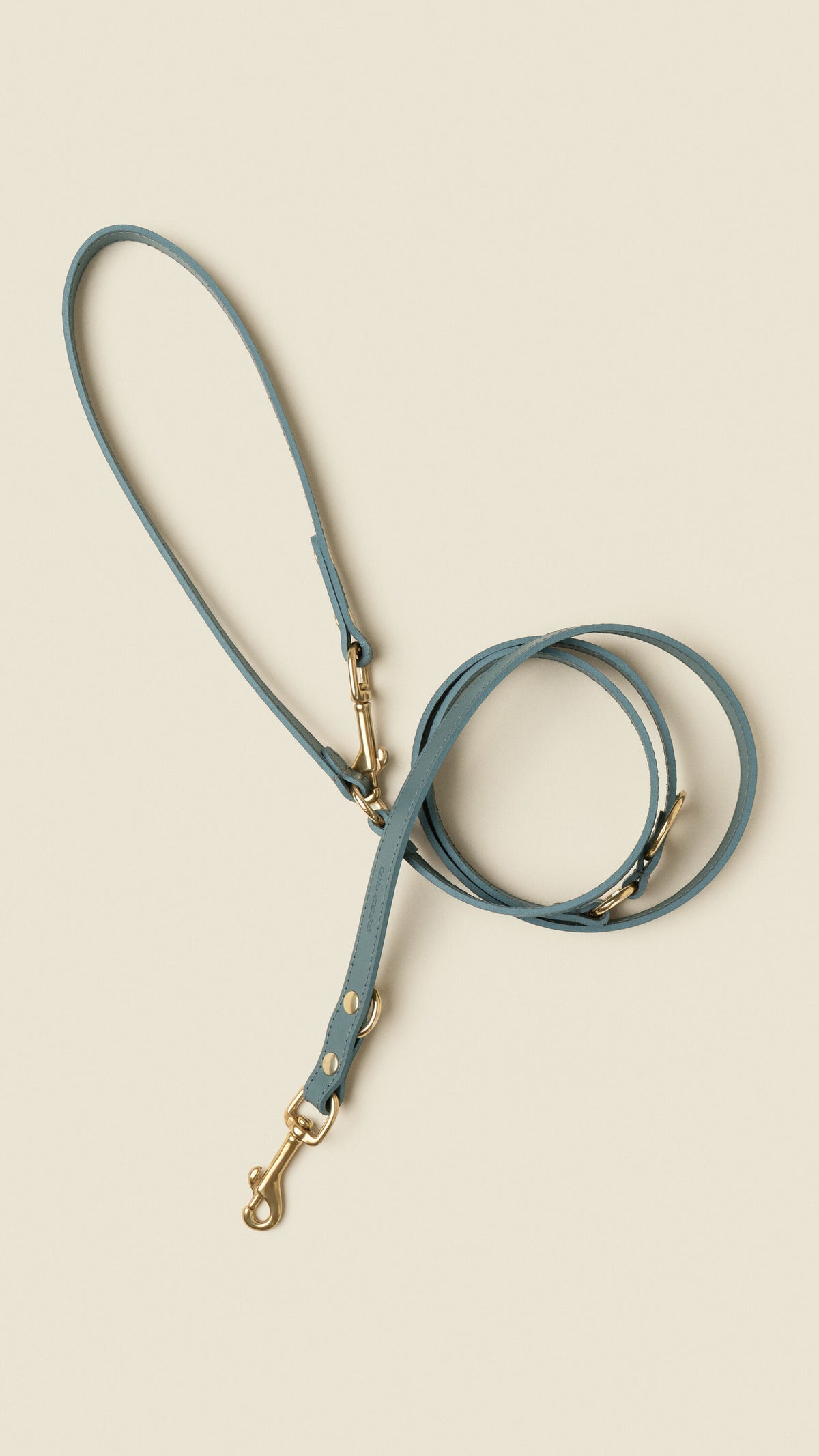 STONE BLUE LEASH