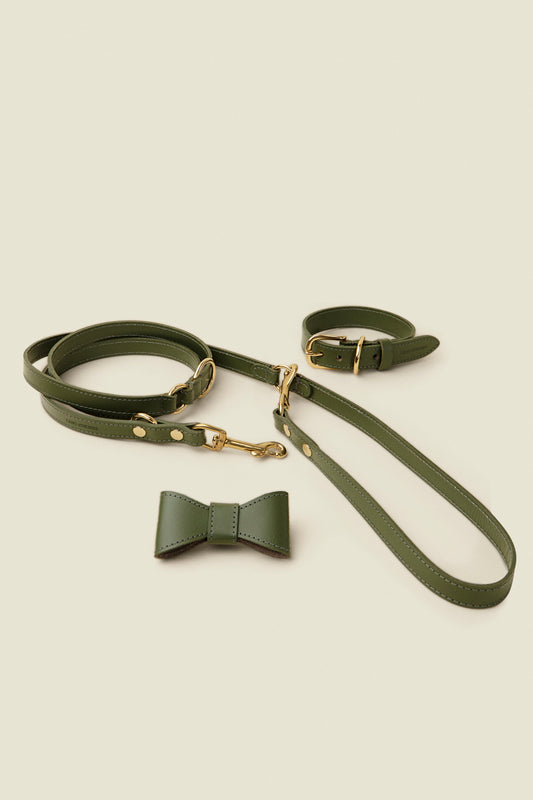 Matching green leather dog collar, leash and bowtie set by Cano Ateliers