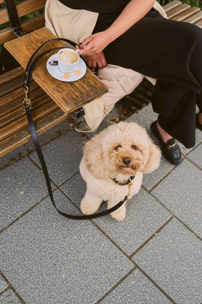 Person sitting on a bench with a dog, holding a cup of coffee.